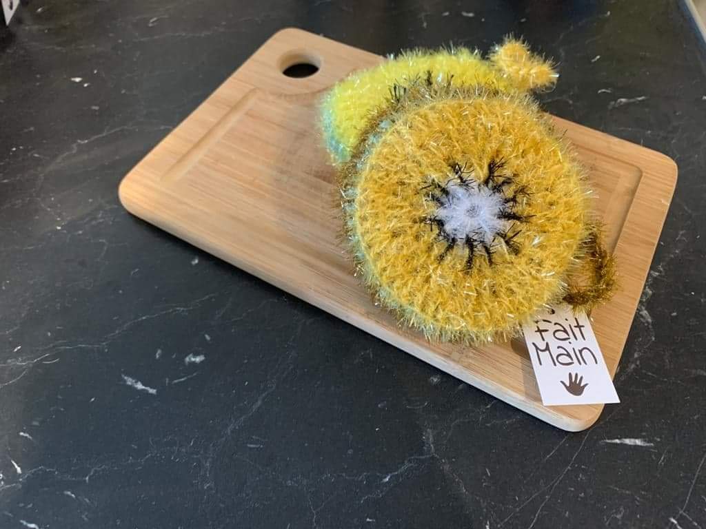 Éponge Kiwi